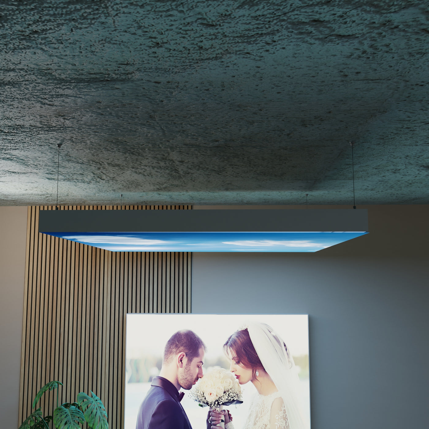 Ceiling light image