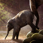 Elefantenkalb-Leuchtbild